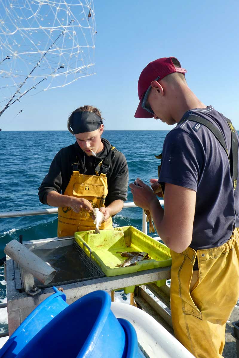 Ami du pecheur peche en mer saint gilles croix de vie en vendee25