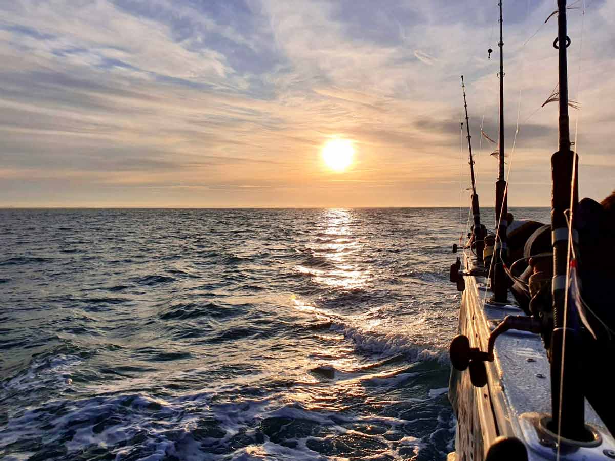 Ami du pecheur peche en mer saint gilles croix de vie en vendee32